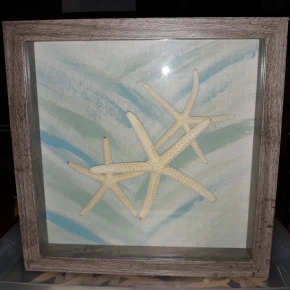 50% off Seafoam Splash Starfish Shadow boxes - Picture 1 of 2